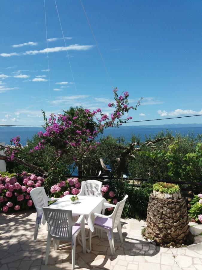 Apartment Hortenzija Baška Voda エクステリア 写真