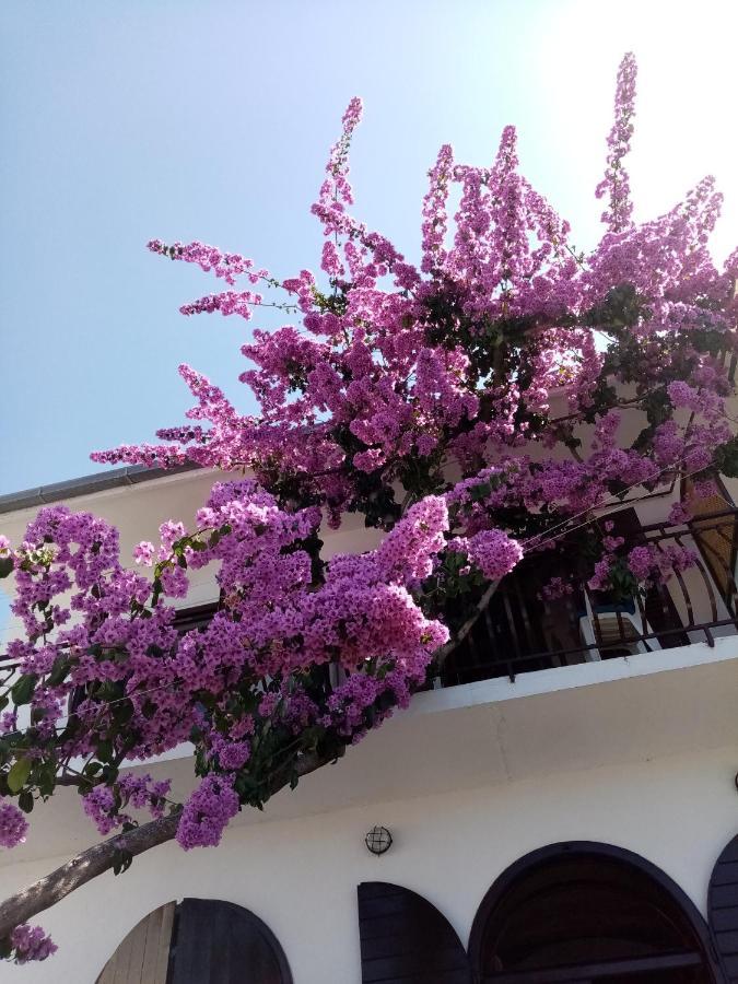 Apartment Hortenzija Baška Voda エクステリア 写真