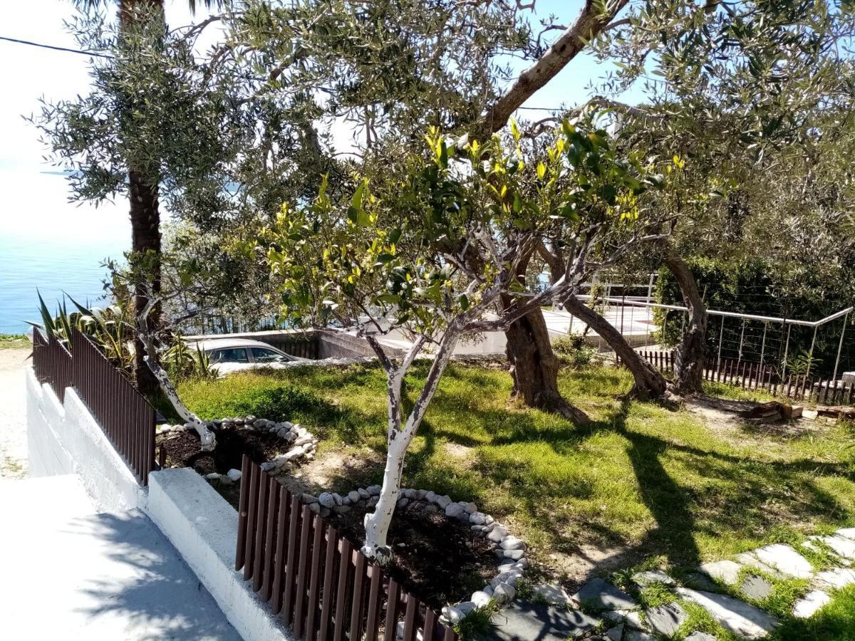 Apartment Hortenzija Baška Voda エクステリア 写真